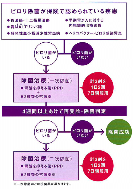 除菌治療は以下の流れで進みます。